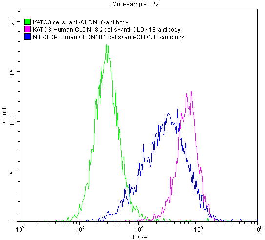 Untransfected KATO3 cells (green line), transfected Human CLDN18.2 KATO3 stable cells (red line) and transfected Human CLDN18.1 NIH-3T3 stable cells (blue line) were stained with anti-CLDN18.2 antibody (2Âµg/1*106cells), washed and then followed by FITC-conjugated anti-Human IgG Fc antibody and analyzed with flow cytometry.