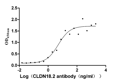 The Binding Activity of Human CLDN18.2 with Anti-CLDN18 recombinant antibody.; Activity: Measured by its binding ability in a functional ELISA. Immobilized Human CLDN18.2 at 5 Âµg/mL can bind Anti-CLDN18 recombinant antibody, the EC50 is 2.947-8.782 ng/mL.