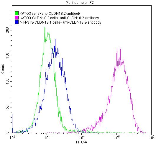 Untransfected KATO3 cells (green line), transfected Human CLDN18.2 KATO3 stable cells (red line) and transfected Human CLDN18.1 NIH-3T3 stable cells (blue line) were stained with anti-CLDN18.2 antibody (2Âµg/1*106cells), washed and then followed by FITC-conjugated anti-Human IgG Fc antibody and analyzed with flow cytometry.