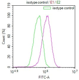 Overlay Peak curve showing HepG2 cells stained with RAC07268 (red line) at 1:100. The cells were incubated in 10% normal goat serum to block non-specific protein-protein interactions followed by the antibody (1ug/1*106cells) for 45min at 4?. The secondary antibody used was FITC-conjugated Goat Anti-rabbit IgG(H+L) at 1:200 dilution for 35min at 4?.Control antibody (green line) was rabbit IgG (1ug/1*106cells) used under the same conditions. Acquisition of >10,000 events was performed.