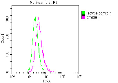 Overlay histogram showing Raji cells stained with RAC07426 (red line) at 1:50. The cells were incubated in 10% normal goat serum to block non-specific protein-protein interactions followedby the antibody (1ug/1*106 cells) for 1 h at 4?.The secondary antibody used was FITC-conjugated goat anti-rabbit IgG (H+L) at 1/200 dilution for 30min at 4?. Control antibody (green line) was Rabbit IgG (1ug/1*106 cells) used under the same conditions. Acquisition of >10,000 events was performed.