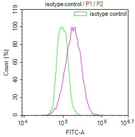 Overlay Peak curve showing Hela cells stained with RAC07454 (red line) at 1:100. The cells were incubated in 10% normal goat serum to block non-specific protein-protein interactions followed by the antibody (1ug/1*106cells) for 45min at 4?. The secondary antibody used was FITC-conjugated Goat Anti-rabbit IgG(H+L) at 1:200 dilution for 35min at 4?.Control antibody (green line) was rabbit IgG (1ug/1*106cells) used under the same conditions. Acquisition of >10,000 events was performed.