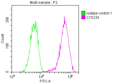 Overlay histogram showing Hela cells stained with RAC07481 (red line) at 1:50. The cells were incubated in 10% normal goat serum to block non-specific protein-protein interactions followedby the antibody (1ug/1*106 cells) for 1 h at 4?.The secondary antibody used was FITC-conjugated goat anti-rabbit IgG (H+L) at 1/200 dilution for 30min at 4?. Control antibody (green line) was Rabbit IgG (1ug/1*106 cells) used under the same conditions. Acquisition of >10,000 events was performed.