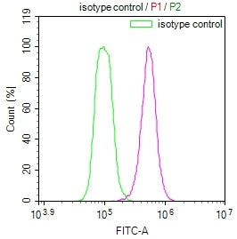 Overlay Peak curve showing Hela cells stained with RAC07506 (red line) at 1:100. The cells were incubated in 10% normal goat serum to block non-specific protein-protein interactions followed by the antibody (1ug/1*106cells) for 45min at 4?. The secondary antibody used was FITC-conjugated Goat Anti-rabbit IgG(H+L) at 1:200 dilution for 35min at 4?.Control antibody (green line) was rabbit IgG (1ug/1*106cells) used under the same conditions. Acquisition of >10,000 events was performed.