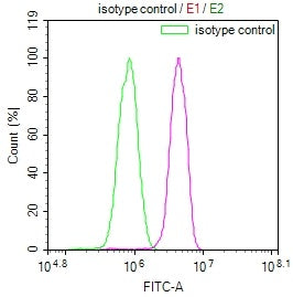 Overlay Peak curve showing A549 cells stained with RAC07697 (red line) at 1:100. The cells were incubated in 10% normal goat serum to block non-specific protein-protein interactions followed by the antibody (1ug/1*106cells) for 45min at 4?. The secondary antibody used was FITC-conjugated Goat Anti-rabbit IgG(H+L) at 1:200 dilution for 35min at 4?.Control antibody (green line) was rabbit IgG (1ug/1*106cells) used under the same conditions. Acquisition of >10,000 events was performed.