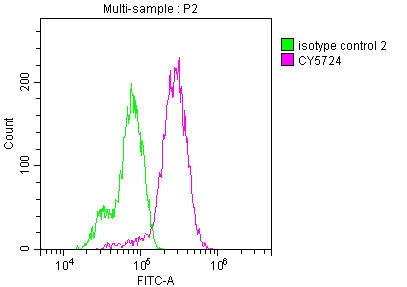 Overlay histogram showing Hela cells stained with RAC07709 (red line) at 1:50. The cells were incubated in 10% normal goat serum to block non-specific protein-protein interactions followedby the antibody (1ug/1*106 cells) for 1 h at 4?.The secondary antibody used was FITC-conjugated goat anti-rabbit IgG (H+L) at 1/200 dilution for 30min at 4?. Control antibody (green line) was Rabbit IgG (1ug/1*106 cells) used under the same conditions. Acquisition of >10,000 events was performed.