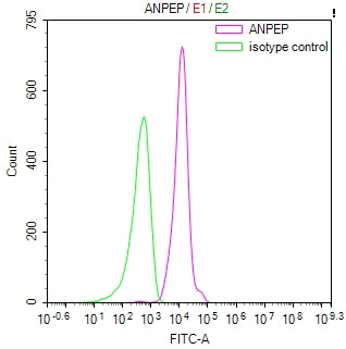 Overlay Peak curve showing 293 cells stained with RAC07824 (red line) at 1:100. Then 10% normal goat serum was Incubated to block non-specific protein-protein interactions followed by the antibody (1ug/1*106cells) for 45 min at 4Â°C. The secondary antibody used was FITC-conjugated Goat Anti-Mouse IgG(H+L) at 1/200 dilution for 35 min at 4Â°C. Isotype control antibody (green line) was mouse IgG1 (1ug/1*106cells) used under the same conditions. Acquisition of >10,026 events was performed.