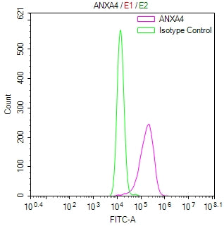Overlay Peak curve showing Hela cells stained with RAC07826 (red line) at 1:800. Then 10% normal goat serum was Incubated to block non-specific protein-protein interactions followed by the antibody (1ug/1*106cells) for 45 min at 4Â°C. The secondary antibody used was FITC-conjugated Goat Anti-Mouse IgG(H+L) at 1/200 dilution for 35 min at 4Â°C. Isotype control antibody (green line) was mouse IgG1 (1ug/1*106cells) used under the same conditions. Acquisition of >10,017 events was performed.