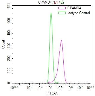 Overlay Peak curve showing Hela cells stained with RAC07828 (red line) at 1:800. Then 10% normal goat serum was Incubated to block non-specific protein-protein interactions followed by the antibody (1ug/1*106cells) for 45 min at 4Â°C. The secondary antibody used was FITC-conjugated Goat Anti-Mouse IgG(H+L) at 1/200 dilution for 35 min at 4Â°C. Isotype control antibody (green line) was mouse IgG1 (1ug/1*106cells) used under the same conditions. Acquisition of >10, 021 events was performed.
