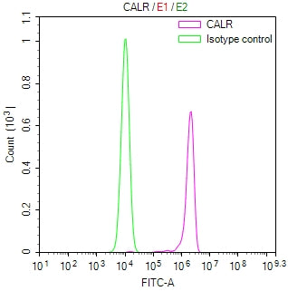 Overlay Peak curve showing JK cells stained with RAC07830 (red line) at 1:300. Then 10% normal goat serum was Incubated to block non-specific protein-protein interactions followed by the antibody (1ug/1*106cells) for 45 min at 4Â°C. The secondary antibody used was FITC-conjugated Goat Anti-Mouse IgG(H+L) at 1/200 dilution for 35 min at 4Â°C. Isotype control antibody (green line) was mouse IgG1 (1ug/1*106cells) used under the same conditions. Acquisition of >10,018 events was performed.