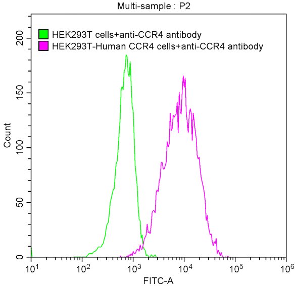 Untransfected HEK293 cells (green line) and transfected Human CCR4 HEK293 stable cells (red line) were stained with anti-CCR4 antibody(2Âµl/1*106 cells), washed and then followed by FITC-conjugated anti-Human IgG Fc antibody and analyzed with flow cytometry.