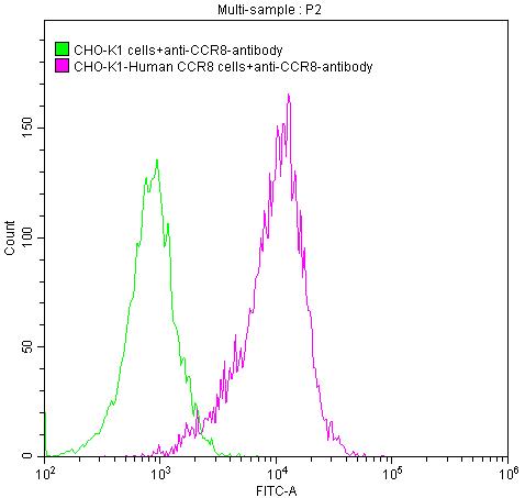 Untransfected CHO-K1 cells (green line) and transfected Human CCR8 CHO-K1 stable cells (red line) were stained with anti-CCR8 antibody (2ug/1*106cells), washed and then followed by FITC-conjugated anti-Human IgG Fc antibody and analyzed with flow cytometry.