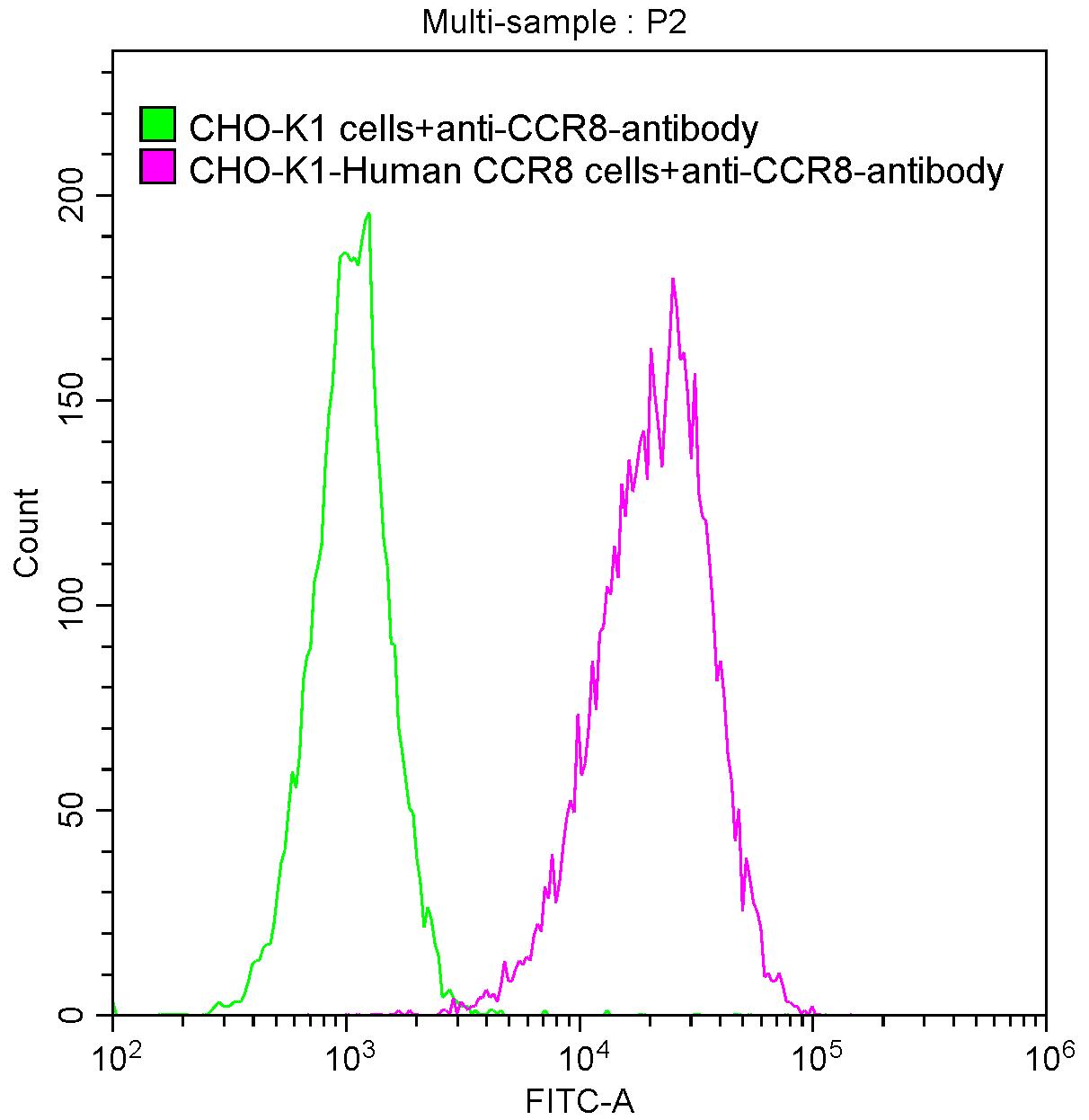 Untransfected CHO-K1 cells (green line) and transfected Human CCR8 CHO-K1 stable cells (red line) were stained with anti-CCR8 recombinant antibody (2ug/1*106cells), washed and then followed by FITC-conjugated anti-Human IgG Fc antibody and analyzed with flow cytometry.