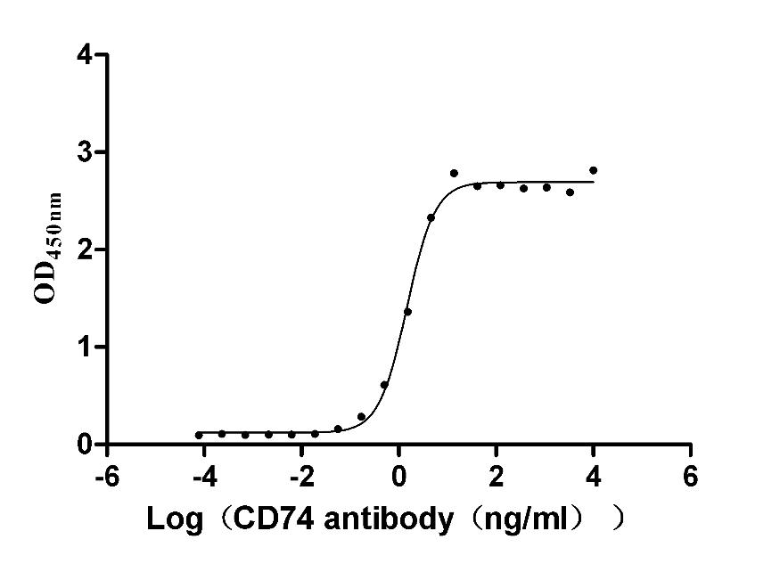 The Binding Activity of Human CD74 with Anti-CD74 recombinant antibody; Activity: Measured by its binding ability in a functional ELISA. Immobilized Human CD74 at 2 ug/ml can bind Anti-CD74 recombinant antibody, the EC50 is 1.317-1.646 ng/ml.