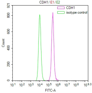Overlay Peak curve showing MCF7 cells stained with RAC07846 (red line) at 1:100. Then 10% normal goat serum was Incubated to block non-specific protein-protein interactions followed by the antibody (1ug/1*106cells) for 45 min at 4Â°C. The secondary antibody used was FITC-conjugated Goat Anti-Mouse IgG(H+L) at 1/200 dilution for 35 min at 4Â°C. Isotype control antibody (green line) was mouse IgG1 (1ug/1*106cells) used under the same conditions. Acquisition of >10,026 events was performed.