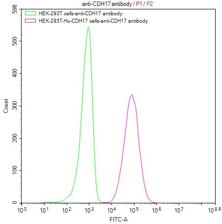 Untransfected HEK293T cells (green line) and transfected Human CDH17 HEK293T stable cells (red line) were stained with anti-CDH17 antibody (2ug/1*106cells), washed and then followed by FITC-conjugated anti-Human IgG Fc antibody and analyzed with flow cytometry.