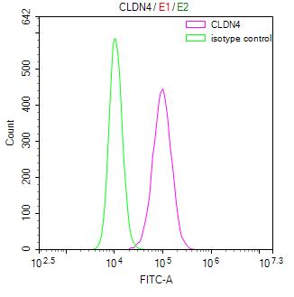 Overlay Peak curve showing MCF7 cells stained with RAC07851 (red line) at 1:100. Then 10% normal goat serum was Incubated to block non-specific protein-protein interactions followed by the antibody (1ug/1*106cells) for 45 min at 4Â°C. The secondary antibody used was FITC-conjugated Goat Anti-Mouse IgG(H+L) at 1/200 dilution for 35 min at 4Â°C. Isotype control antibody (green line) was mouse IgG1 (1ug/1*106cells) used under the same conditions. Acquisition of >10, 000 events was performed.