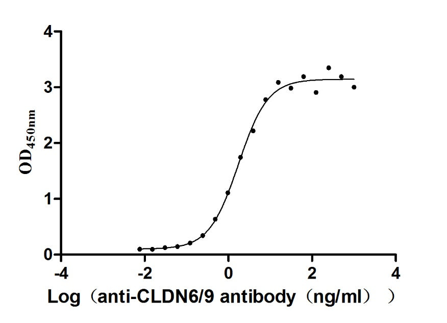 The Binding Activity of Huamn CLDN6 with Anti-CLDN6/9 recombinant Antibody; Activity: Measured by its binding ability in a functional ELISA. Immobilized Human CLDN6 at 10 ug/ml can bind Anti-CLDN6/9 recombinant antibody, the EC50 is 1.501-2.035 ng/ml.