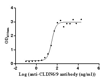 The Binding Activity of Human CLDN9 with Anti-CLDN6/9 Recombinant Antibody; Activity: Measured by its binding ability in a functional ELISA. Immobilized Human CLDN9 at 10 ug/ml can bind Anti-CLDN6/9 recombinant antibody, the EC50 is 24.93-35.47 ng/ml.