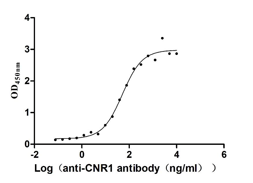 The Binding Activity of Huamn CNR1 with Anti-CNR1 recombinant Antibody; Activity: Measured by its binding ability in a functional ELISA. Immobilized Human CNR1 at 10 ug/ml can bind Anti-CNR1 recombinant antibody, the EC50 is 41.72-63.54 ng/ml.