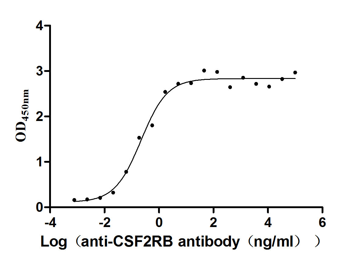 The Binding Activity of CSF2RB with anti-CSF2RB antibody; Activity: Measured by its binding ability in a functional ELISA. Immobilized Human CSF2RB at 2 ug/ml can bind Anti-CSF2RB recombinant antibody, the EC50 is 0.1594-0.3046 ng/ml.