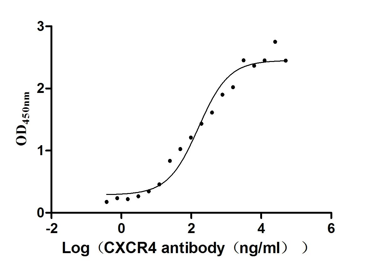 The Binding Activity of Human CXCR4 with Anti-CXCR4 recombinant Antibody; Activity: Measured by its binding ability in a functional ELISA. Immobilized Human CXCR4 at 10 ug/ml can bind Anti-CXCR4 recombinant antibody, the EC50 is 101.7-253.6 ng/ml.