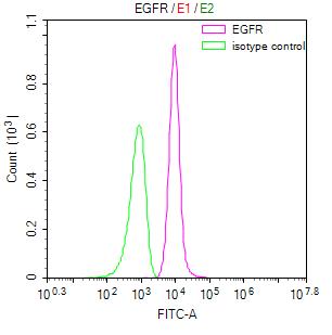 Overlay Peak curve showing NIH/3T3 cells stained with RAC07864 (red line) at 1:100. Then 10% normal goat serum was Incubated to block non-specific protein-protein interactions followed by the antibody (1ug/1*106cells) for 45 min at 4Â°C. The secondary antibody used was FITC-conjugated Goat Anti-Rabbit IgG(H+L) at 1/200 dilution for 35 min at 4Â°C. Isotype control antibody (green line) was mouse IgG1 (1ug/1*106cells) used under the same conditions. Acquisition of >10,000 events was performed.