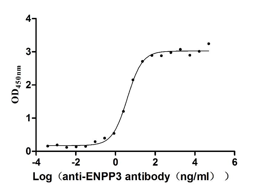The Binding Activity of Macaca fascicularis ENPP3 with Anti-ENPP3 recombinant antibody; Activity: Measured by its binding ability in a functional ELISA. Immobilized Macaca fascicularis ENPP3 at 2 ug/ml can bind Anti-ENPP3 recombinant antibody, the EC50 is 3.313-4.724 ng/ml.