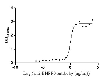 The Binding Activity of Huamn ENPP3 with Anti- ENPP3 Recombinant Antibody; Activity: Measured by its binding ability in a functional ELISA. Immobilized Human ENPP3 at 2 ug/ml can bind Anti-ENPP3 recombinant antibody, the EC50 is 2.151-2.492 ng/ml