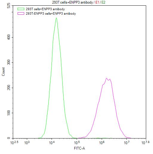 Untransfected HEK293T cells (green line) and transfected Human ENPP3 HEK293T stable cells (red line) were stained with anti-ENPP3 recombinant antibody (2ug/1*106cells), washed and then followed by FITC-conjugated anti-Human IgG Fc antibody and analyzed with flow cytometry.