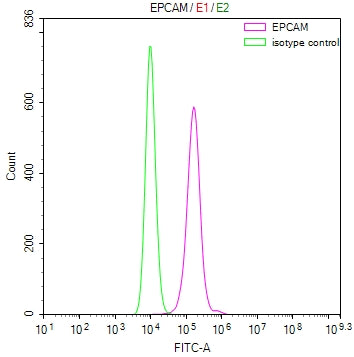 Overlay Peak curve showing MCF7 cells stained with RAC07866 (red line) at 1:100. Then 10% normal goat serum was Incubated to block non-specific protein-protein interactions followed by the antibody (1ug/1*106cells) for 45 min at 4Â°C. The secondary antibody used was FITC-conjugated Goat Anti-Mouse IgG(H+L) at 1/200 dilution for 35 min at 4Â°C. Isotype control antibody (green line) was mouse IgG1 (1ug/1*106cells) used under the same conditions. Acquisition of >10,000 events was performed.