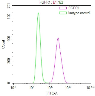 Overlay Peak curve showing MCF7 cells stained with RAC07869 (red line) at 1:100. Then 10% normal goat serum was Incubated to block non-specific protein-protein interactions followed by the antibody (1ug/1*106cells) for 45 min at 4Â°C. The secondary antibody used was FITC-conjugated Goat Anti-Rabbit IgG(H+L) at 1/200 dilution for 35 min at 4Â°C. Isotype control antibody (green line) was rabbit IgG1 (1ug/1*106cells) used under the same conditions. Acquisition of >10,026 events was performed.