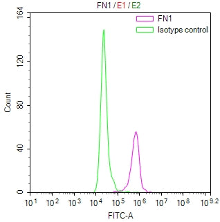 Overlay Peak curve showing 3T3 cells stained with RAC07870 (red line) at 1:50. Then 10% normal goat serum was Incubated to block non-specific protein-protein interactions followed by the antibody (1ug/1*106cells) for 45 min at 4Â°C. The secondary antibody used was FITC-conjugated Goat Anti-Mouse IgG(H+L) at 1/200 dilution for 35 min at 4Â°C. Isotype control antibody (green line) was mouse IgG1 (1ug/1*106cells) used under the same conditions. Acquisition of >10, 000 events was performed.