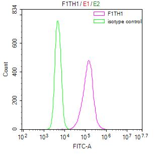 Overlay Peak curve showing 293 cells stained with RAC07872 (red line) at 1:50. Then 10% normal goat serum was Incubated to block non-specific protein-protein interactions followed by the antibody (1ug/1*106cells) for 45 min at 4Â°C. The secondary antibody used was FITC-conjugated Goat Anti-Mouse IgG(H+L) at 1/200 dilution for 35 min at 4Â°C. Isotype control antibody (green line) was mouse IgG1 (1ug/1*106cells) used under the same conditions. Acquisition of >10,000 events was performed.