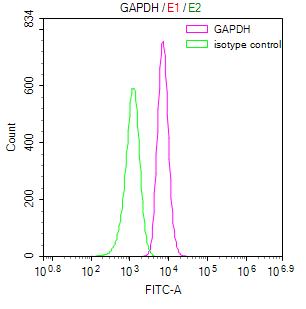 Overlay Peak curve showing Hela cells stained with RAC07873 (red line) at 1:50. Then 10% normal goat serum was Incubated to block non-specific protein-protein interactions followed by the antibody (1ug/1*106cells) for 45 min at 4Â°C. The secondary antibody used was FITC-conjugated Goat Anti-Mouse IgG(H+L) at 1/200 dilution for 35 min at 4Â°C. Isotype control antibody (green line) was mouse IgG1 (1ug/1*106cells) used under the same conditions. Acquisition of >10,000 events was performed.