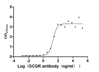 The Binding Activity of Human GCGR with Anti-GCGR recombinant antibody.; Activity: Measured by its binding ability in a functional ELISA. Immobilized Human GCGR at 2 ug/ml can bind Anti-GCGR recombinant antibody, the EC50 is 14.57-32.56 ng/ml.
