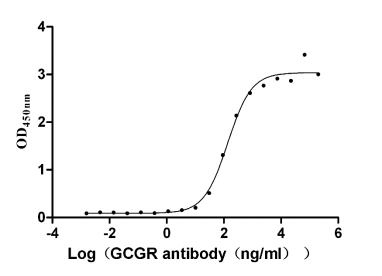 The Binding Activity of Human GCGR with Anti-GCGR recombinant antibody.; Activity: Measured by its binding ability in a functional ELISA. Immobilized Human GCGR at 2 ug/ml can bind Anti-GCGR recombinant antibody, the EC50 is 104.1-179.5 ng/ml.