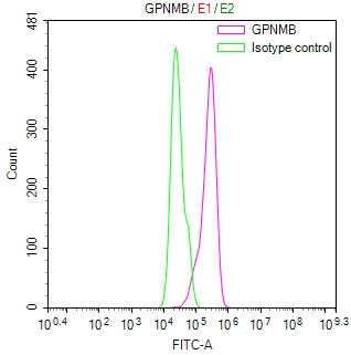 Overlay Peak curve showing Hela cells stained with RAC07880 (red line) at 1:100. Then 10% normal goat serum was Incubated to block non-specific protein-protein interactions followed by the antibody (1ug/1*106cells) for 45 min at 4Â°C. The secondary antibody used was FITC-conjugated Goat Anti-Mouse IgG(H+L) at 1/200 dilution for 35 min at 4Â°C. Isotype control antibody (green line) was mouse IgG1 (1ug/1*106cells) used under the same conditions. Acquisition of >10, 003 events was performed.