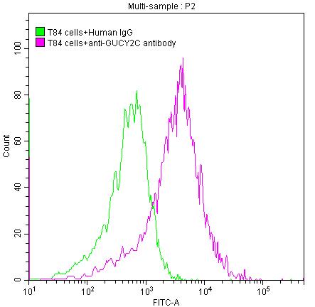 T84 cells were stained with Human IgG (green line) and anti-GUCY2C antibody (red line) (2ug/1*106cells), washed and then followed by FITC-conjugated anti-Human IgG Fc antibody and analyzed with flow cytometry.