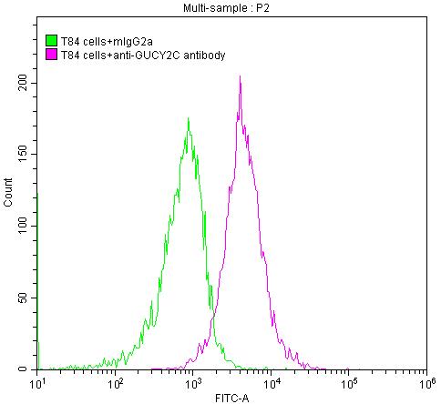 T84 cells were stained with Mouse IgG2a (green line) and anti-GUCY2C antibody (red line) (2ug/1*106cells), washed and then followed by FITC-conjugated Goat Anti-Mouse IgG(H+L) antibody and analyzed with flow cytometry.