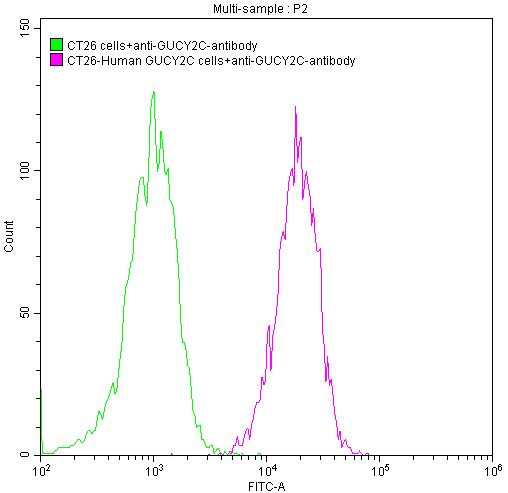 Untransfected CT26 cells (green line) and transfected Human GUCY2C CT26 stable cells (red line) were stained with anti-GUCY2C antibody (2ug/1*106cells), washed and then followed by FITC-conjugated Goat Anti-Mouse IgG(H+L) antibody and analyzed with flow cytometry.