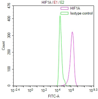 Overlay Peak curve showing Hela cells stained with RAC07885 (red line) at 1:50. Then 10% normal goat serum was Incubated to block non-specific protein-protein interactions followed by the antibody (1ug/1*106cells) for 45 min at 4Â°C. The secondary antibody used was FITC-conjugated Goat Anti-Rabbit IgG(H+L) at 1/200 dilution for 35 min at 4Â°C. Isotype control antibody (green line) was rabbit IgG1 (1ug/1*106cells) used under the same conditions. Acquisition of >10,001 events was performed.