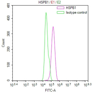 Overlay Peak curve showing Hela cells stained with RAC07889 (red line) at 1:100. Then 10% normal goat serum was Incubated to block non-specific protein-protein interactions followed by the antibody (1ug/1*106cells) for 45 min at 4Â°C. The secondary antibody used was FITC-conjugated Goat Anti-Mouse IgG(H+L) at 1/200 dilution for 35 min at 4Â°C. Isotype control antibody (green line) was mouse IgG1 (1ug/1*106cells) used under the same conditions. Acquisition of >10,004 events was performed.