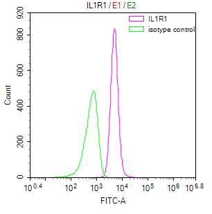 Overlay Peak curve showing NIH/3T3 cells stained with RAC07893 (red line) at 1:50. Then 10% normal goat serum was Incubated to block non-specific protein-protein interactions followed by the antibody (1ug/1*106cells) for 45 min at 4Â°C. The secondary antibody used was FITC-conjugated Goat Anti-Mouse IgG(H+L) at 1/200 dilution for 35 min at 4Â°C. Isotype control antibody (green line) was mouse IgG1 (1ug/1*106cells) used under the same conditions. Acquisition of >10, 000 events was performed.