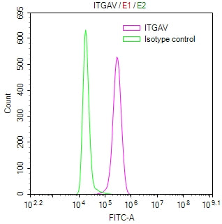 Overlay Peak curve showing MCF7 cells stained with RAC07895 (red line) at 1:100. Then 10% normal goat serum was Incubated to block non-specific protein-protein interactions followed by the antibody (1ug/1*106cells) for 45 min at 4Â°C. The secondary antibody used was FITC-conjugated Goat Anti-Mouse IgG(H+L) at 1/200 dilution for 35 min at 4Â°C. Isotype control antibody (green line) was mouse IgG1 (1ug/1*106cells) used under the same conditions. Acquisition of >10,011 events was performed.