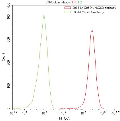 Untransfected HEK293T cells (green line) and transfected Human LY6G6D HEK293T stable cells (red line) were stained with anti-LY6G6D antibody (RAC07898) (2ug/1*106cells), washed and then followed by FITC-conjugated anti-Human IgG Fc antibody and analyzed with flow cytometry.
