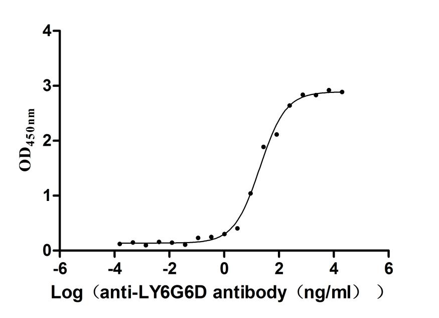 The Binding Activity of Macaca fascicularis LY6G6D with Anti-LY6G6D Recombinant Antibody; Activity: Measured by its binding ability in a functional ELISA. Immobilized Macaca fascicularis LY6G6D at 2 ug/ml can bind Anti-LY6G6D recombinant antibody. The EC50 is 16.16-25.29 ng/ml.