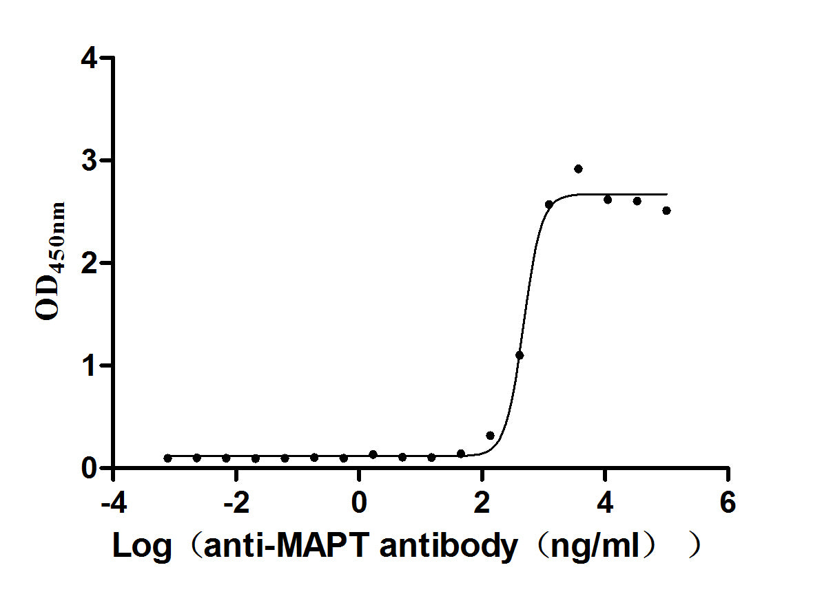 The Binding Activity of Mapt with Anti-MAPT recombinant antibody; Activity: Measured by its binding ability in a functional ELISA. Immobilized Mouse Mapt at 2 ug/ml can bind Anti-MAPT recombinant antibody, the EC50 is 436.1-518.6 ng/ml.