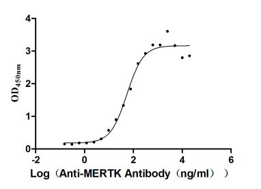 The Binding Activity of MERTK with anti-MERTK antibody.; Activity: Measured by its binding ability in a functional ELISA. Immobilized MERTK at 2 ug/ml can bind anti-MERTK antibody(RAC07902), the EC50 is 41.31-72.08 ng/ml.
