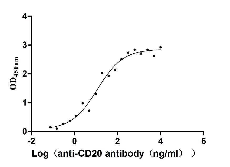 The Binding Activity of Human MS4A1 with Anti-MS4A1 recombinant antibody; Activity: Measured by its binding ability in a functional ELISA. Immobilized Human MS4A1 at 5 ug/ml can bind Anti-MS4A1 recombinant antibody, the EC50 is 6.959-19.70 ng/ml.